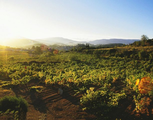 Vignobles en Scène 2026 en Corbières Minervois : le programme du 16 au 18 octobre