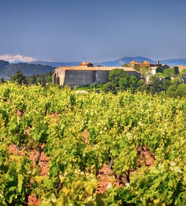 Minervois, vintage wine by the wind