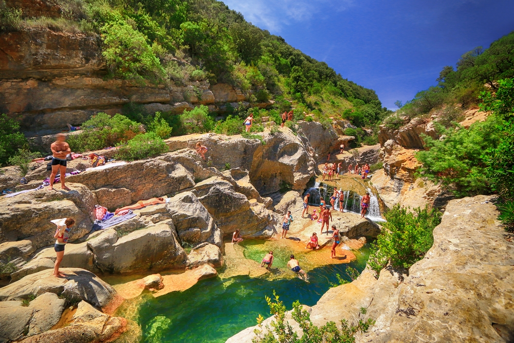 Le Verdouble au Moulin de Ribaute Duilhac-sous-Peyrepertuse