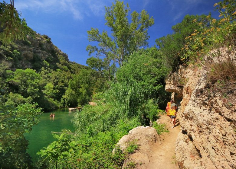 Gorges Du Verdouble Lieu Dit Moulin De Ribaute 11350 Duilhac-sous-peyrepertuse