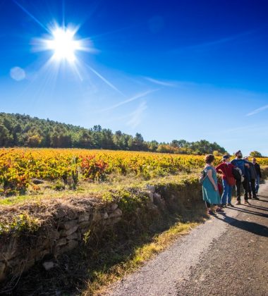 Alle Weinberge und Entdeckungen bieten