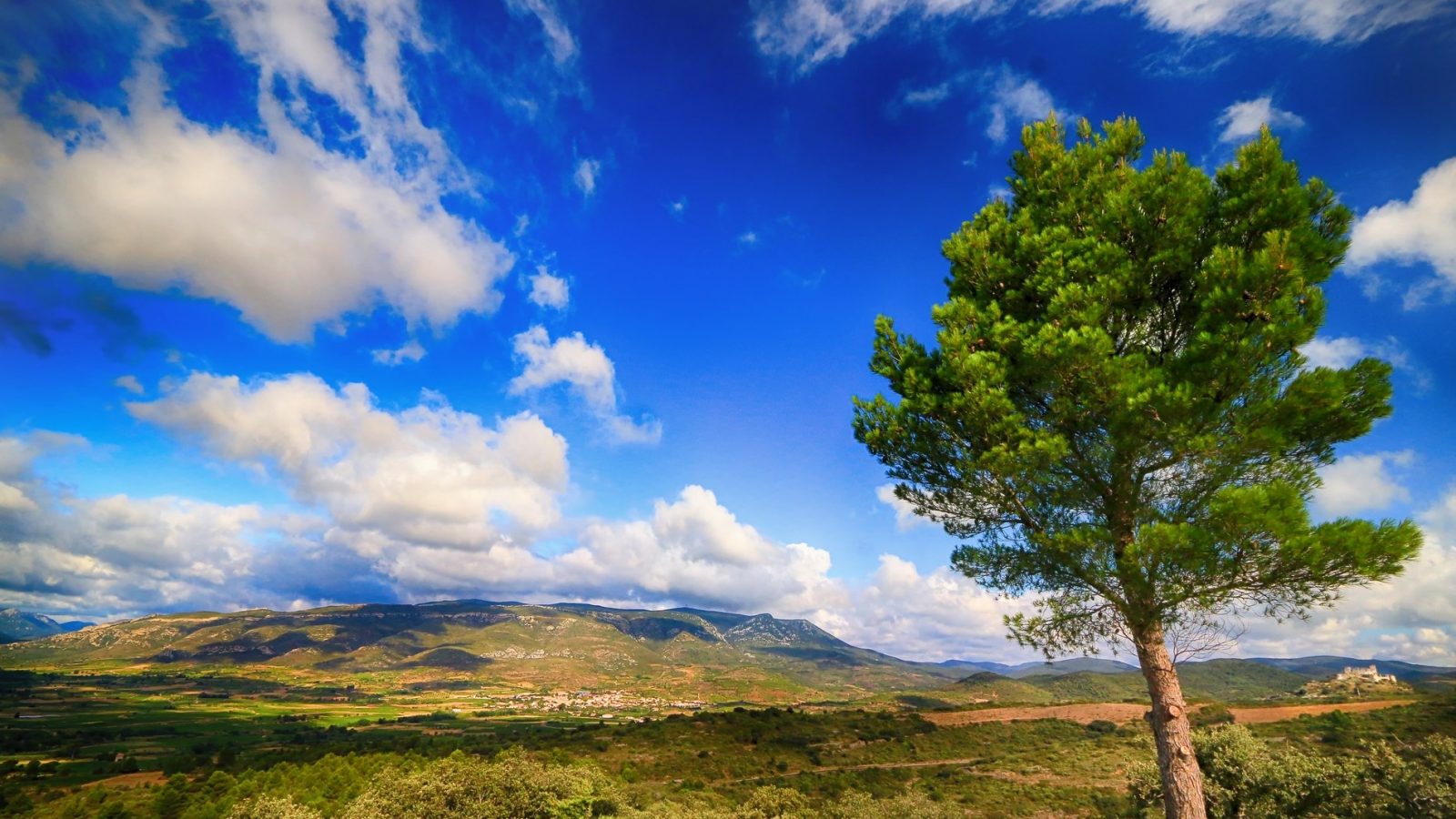 Paysage Tuchan et Aguilar