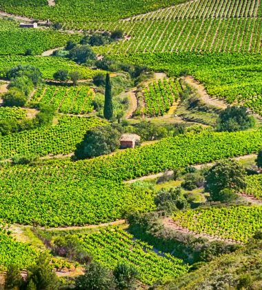 Corbières, entre tradició i modernitat