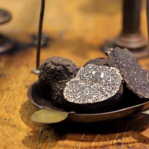 MONSIEUR WILLIAM SAURY