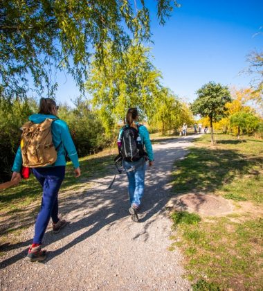 Spaziergänge und Wanderungen von weniger als einem Tag