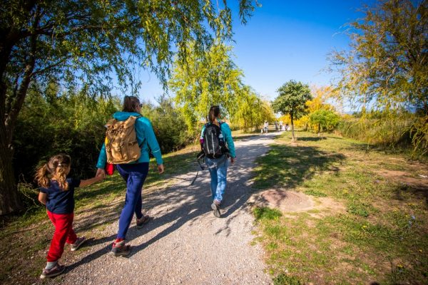 Balades et randonnées de moins d’une journée