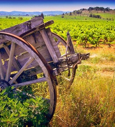 Quand le paysage devint vigne