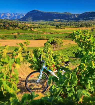 Totes les rutes a peu, amb bicicleta de muntanya, amb bicicleta