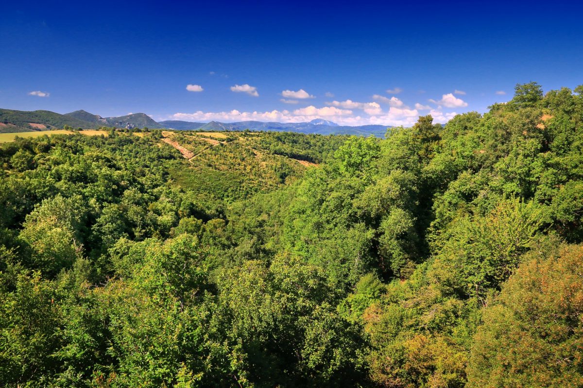 Paysage Hautes Corbières