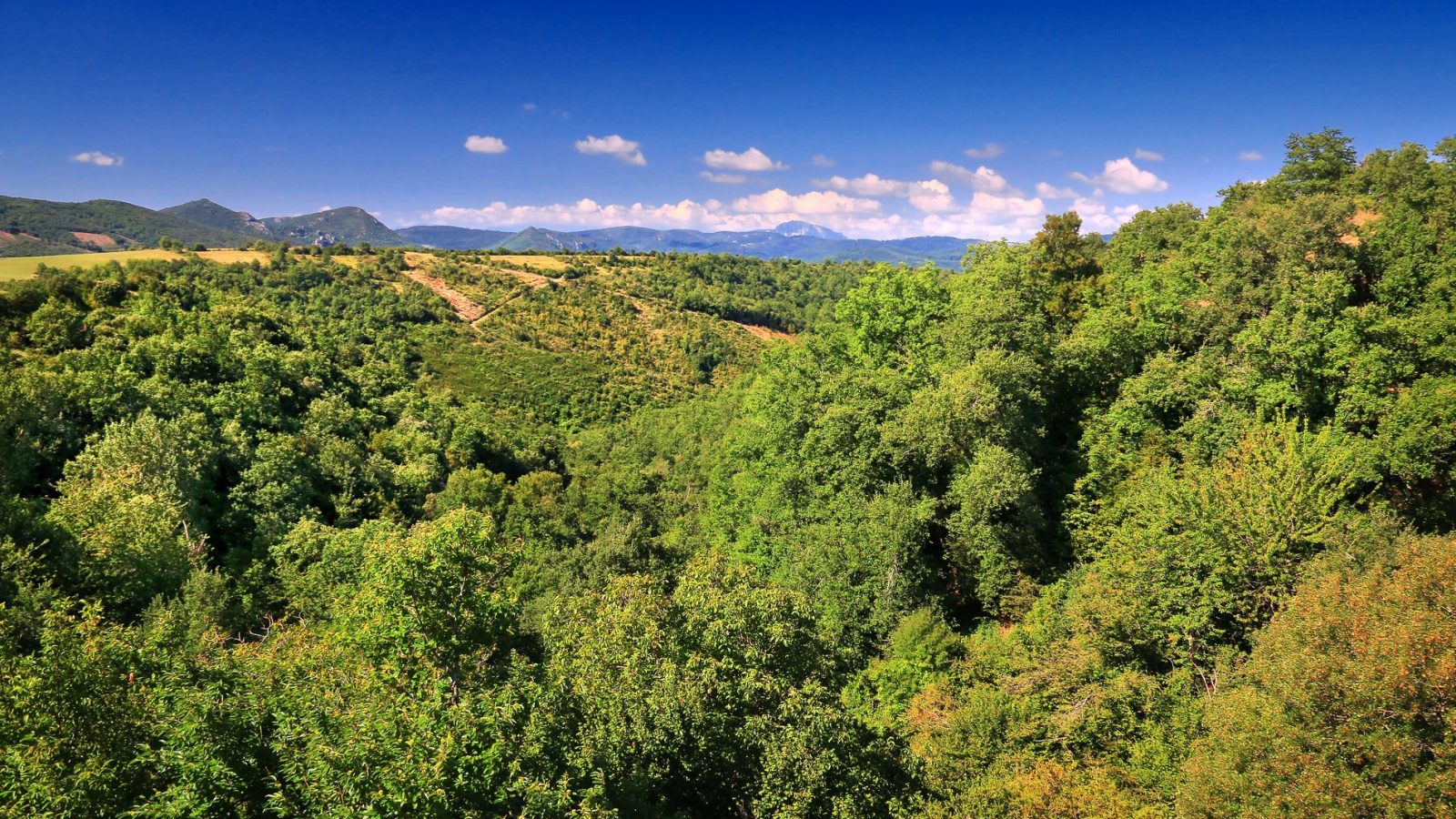 Paysage Hautes Corbières