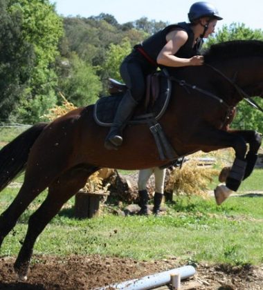 A cheval