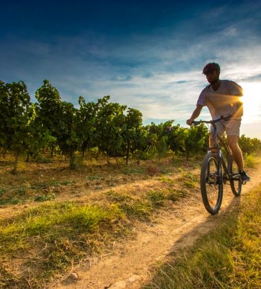 A VTT entre les vignes