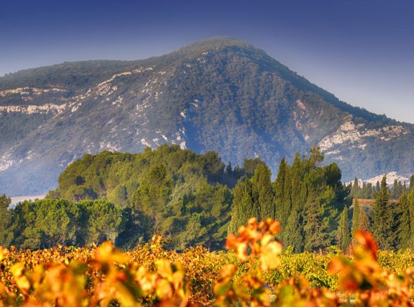 Balade aux couleurs d’automne