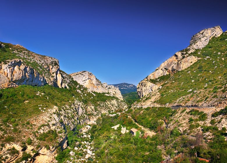 WILD CITADELS AND CORBIÈRES