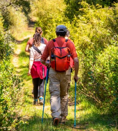 Paseos y caminatas