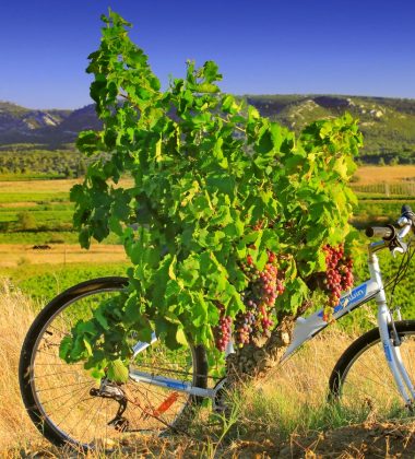 Erstes Treffen der großen Weine in Corbières Minervois Fitou