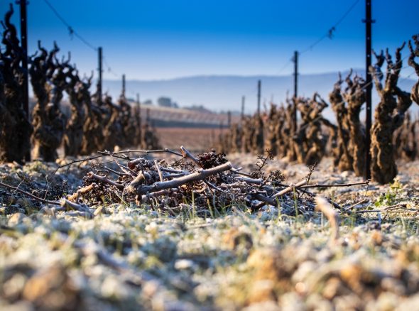 Que faire lorsqu’il pleut ou qu’il fait froid ?