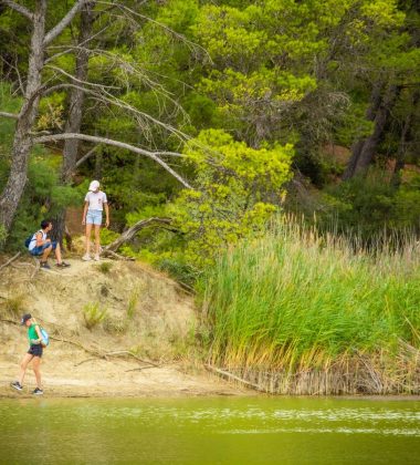 Hikes around the water