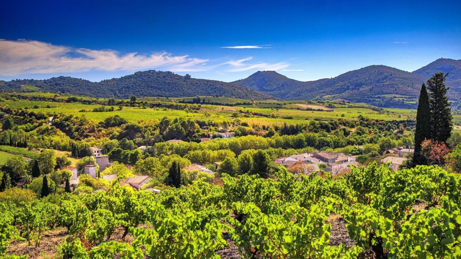 Cascastel des Corbières