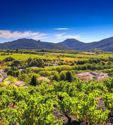 AOP Corbières cellars and estates