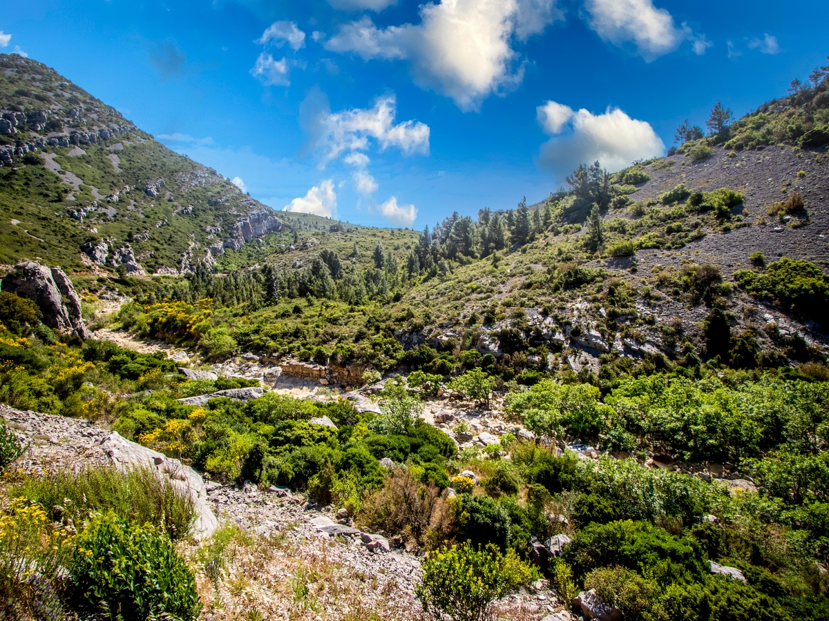 Vue depuis le GR36 au dessus des gorges du Congoust à Camplong d'Aude