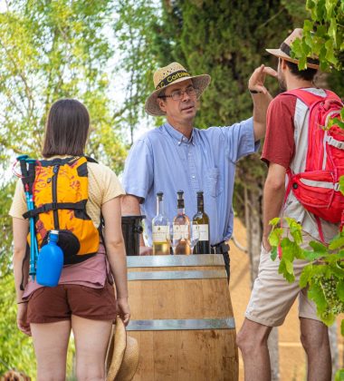 Weinberge & Entdeckungen