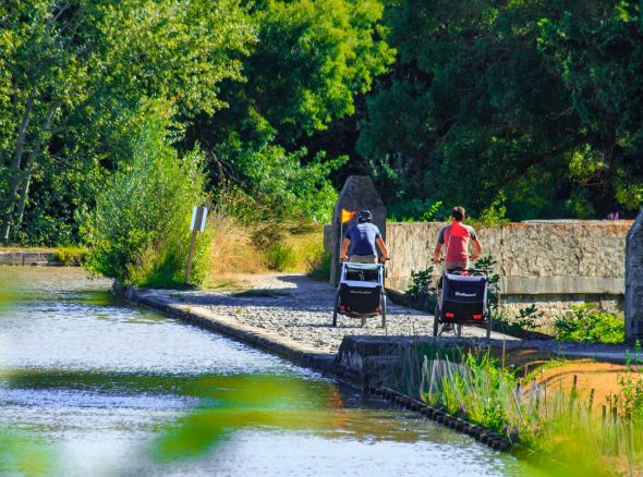 Balade à vélo au bord du canal du Midi