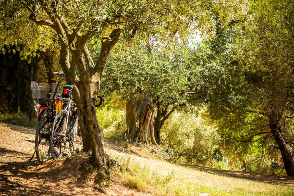 Lac Jouarres baignade Homps Vélo canal du Midi Aude