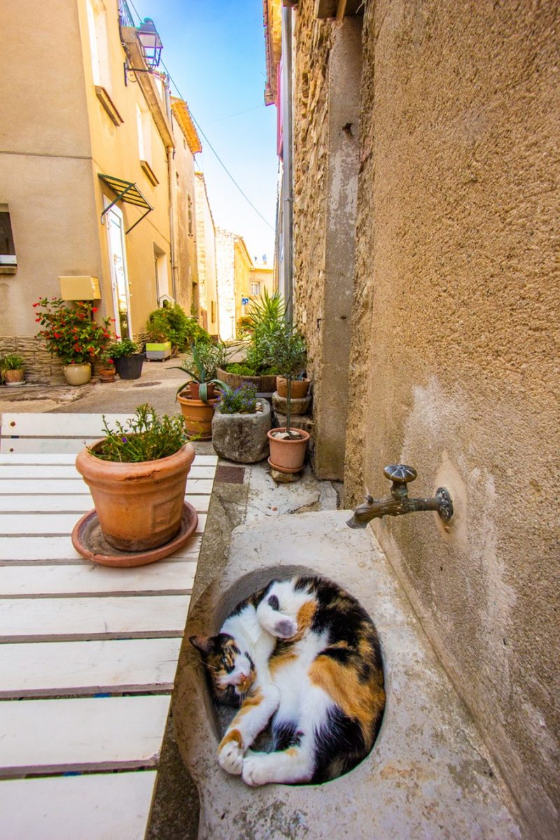 Paraza canal du Midi