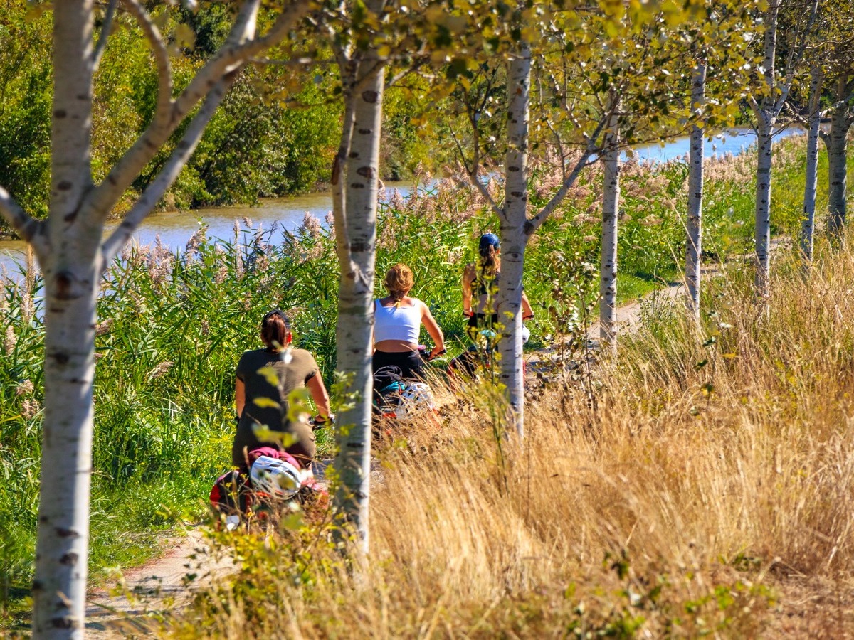 canal du Midi à vélo