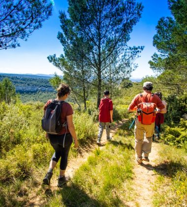 Hiking, cycling, mountain biking