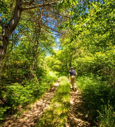 Passejades a l’ombra