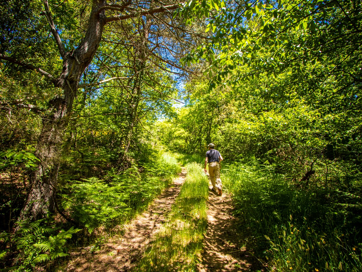 Albières balade à l'ombre Aude