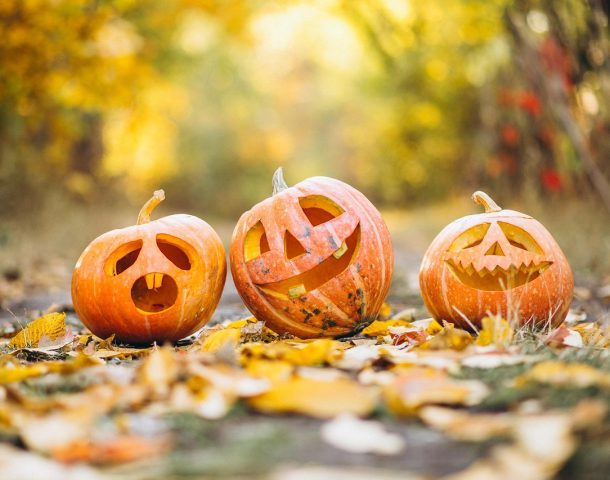 Halloween en Corbières Minervois