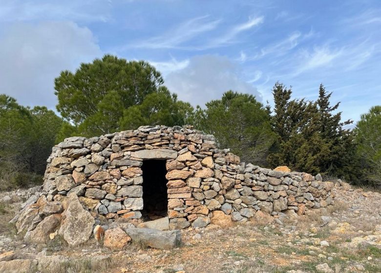 DE LA GARRIGUE AU VIGNOBLE