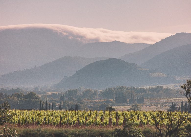 LE SENTIER CATHARE DE DURBAN CORBIÈRES À EMBRES ET CASTELMAURE