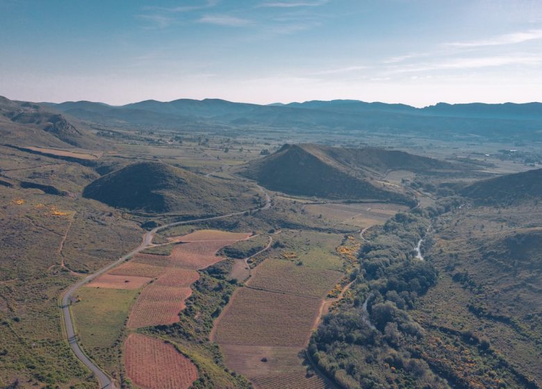 EL PASE DE LA GOUTINA