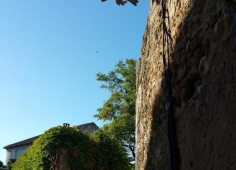 LE PATIO DES GRAGNOTTES