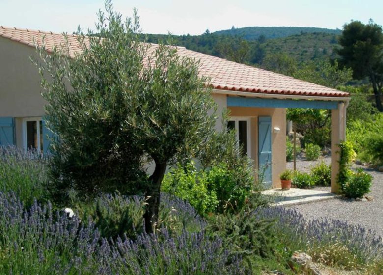 GÎTE SYRAH