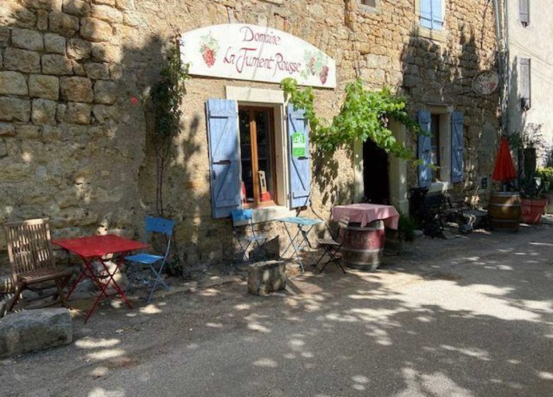 PETIT GÎTE JUMENT ROUSSE