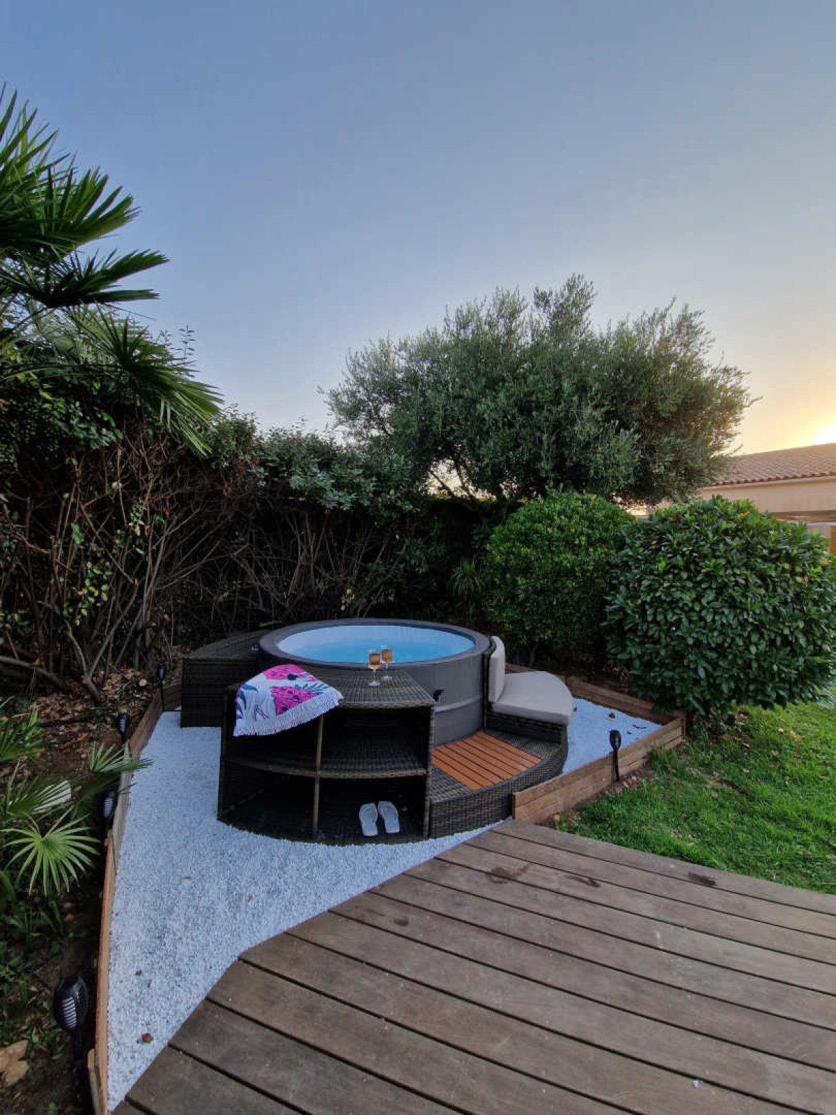 CYPRÈS DE VOS RÊVES – LA DROSERA