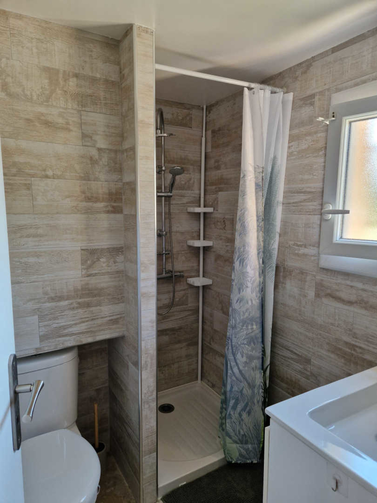 CYPRÈS DE VOS RÊVES – L’OLIVIER