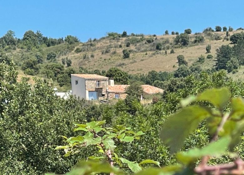DOMAINE DE FONTBOURGUES