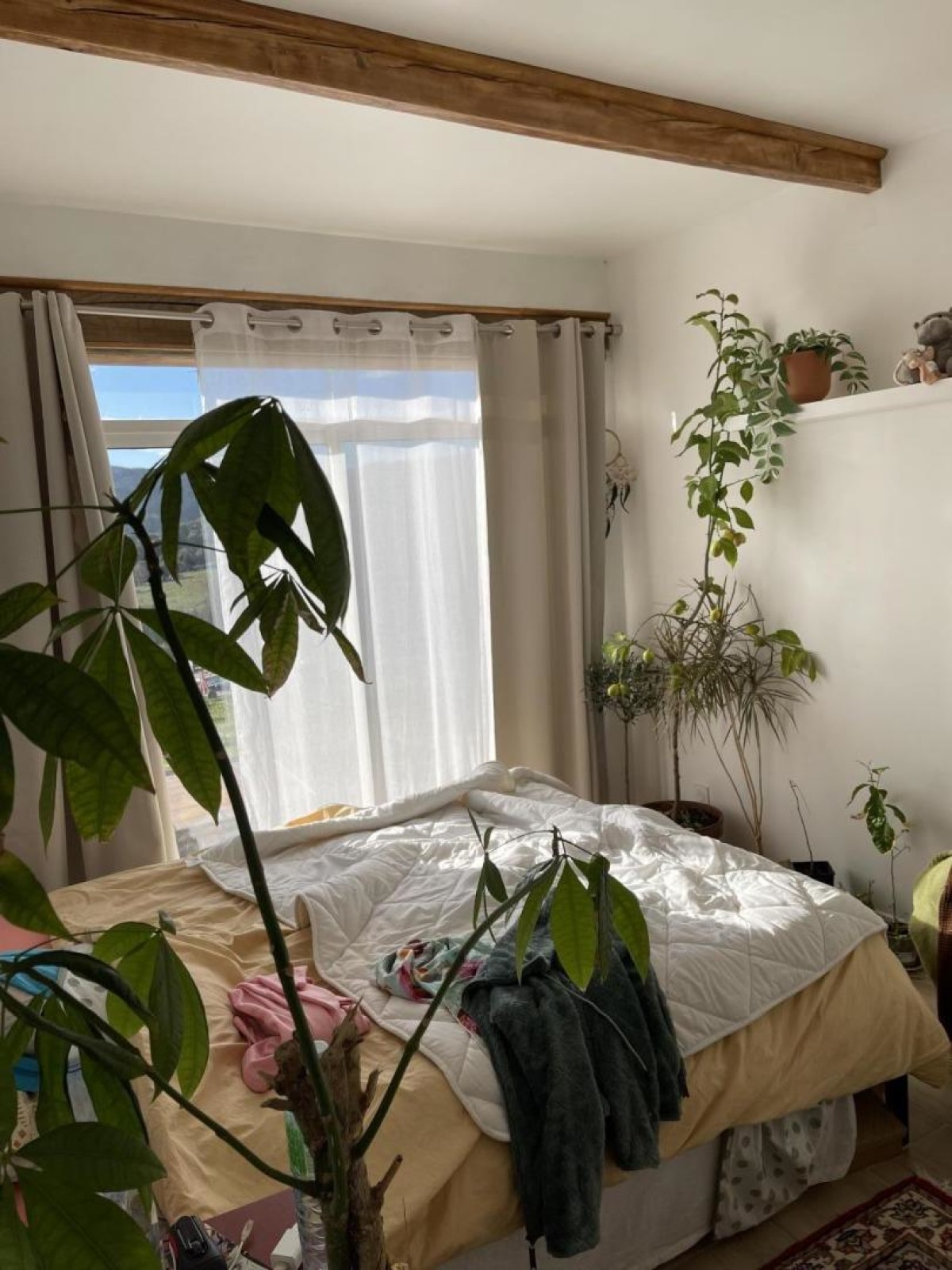 DOMAINE DE FONTBOURGUES