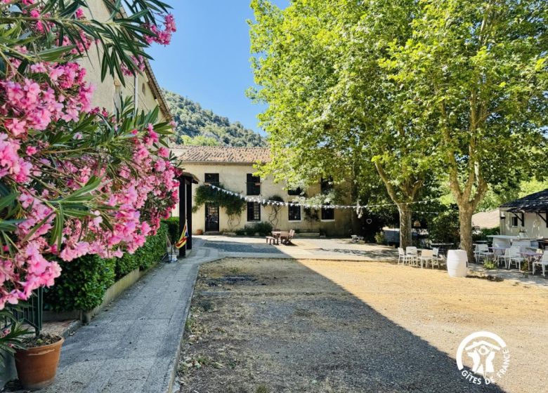 DOMAINE CASTELNAUT