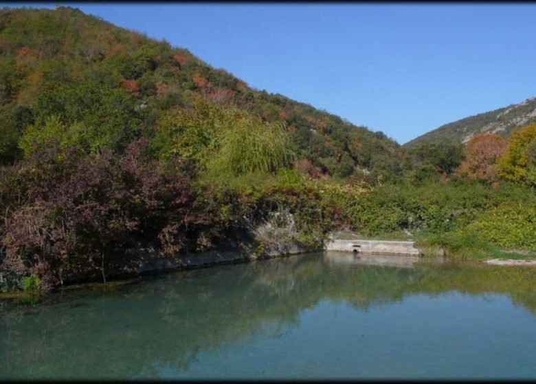 LA GAUNA