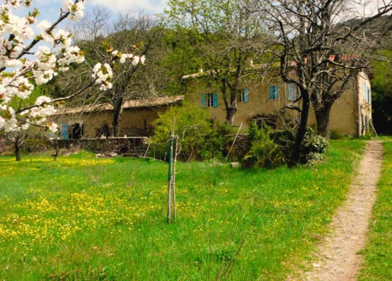 LA GAUNA