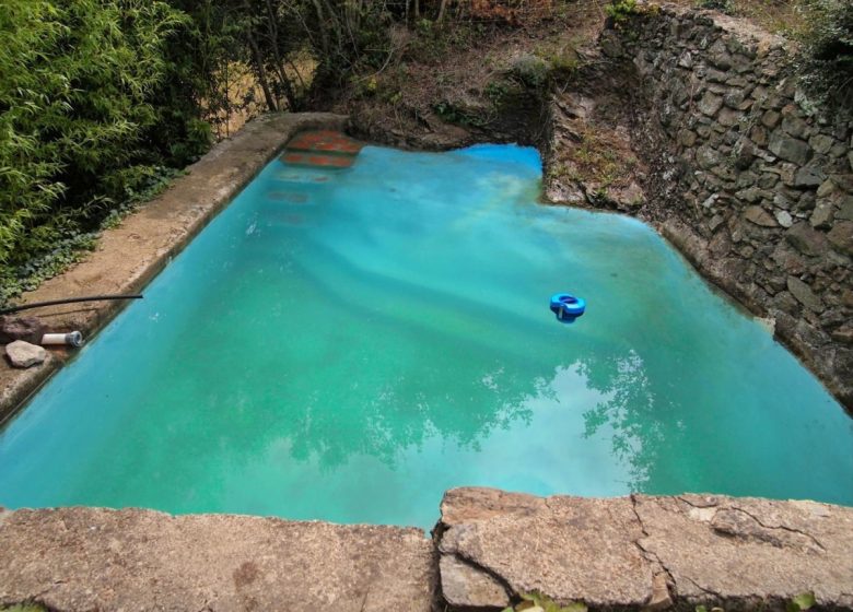 LA GAUNA