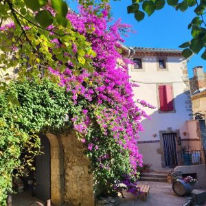 LE PATIO DES GRAGNOTTES