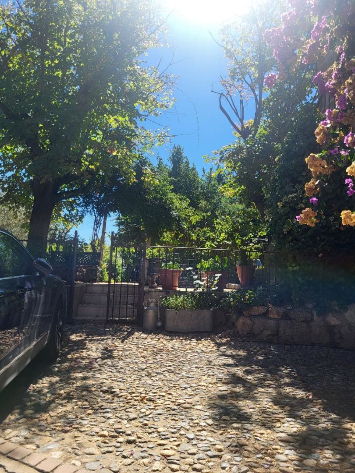 LE PATIO DES GRAGNOTTES